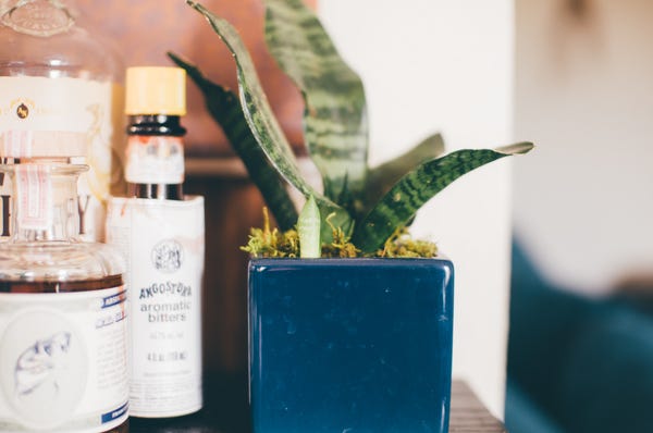 At first I thought it was a weed, but now I realize it's a tiny pup of a snake plant sneaking its way up in the front.