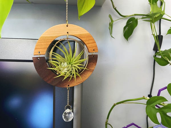 My best friend gifted me this airt plant holder + air plant for my birthday!