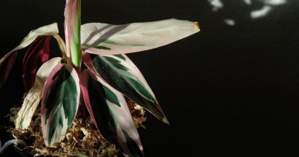 Breaking down barriers: Consumer education