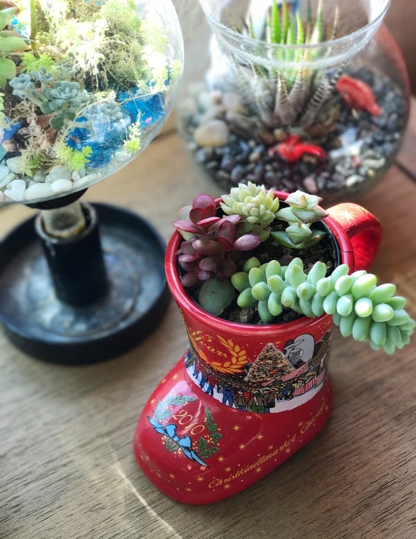 Another one of my coffee mugs that I've repurposed into a pot. This one's from Chicago's 2010 Christkindlmarket, where they gave out boots! It's kind of impractical to drink out of (and clean), but it's a great holder of plants!