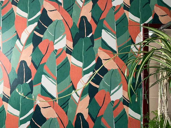 Not that I've had many of houseplants produce flowers but this spider plant certainly has the most dramatic flower stalk I've ever had.