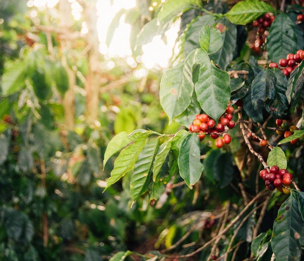 Photos from my Brazil trip are now in my portfolio