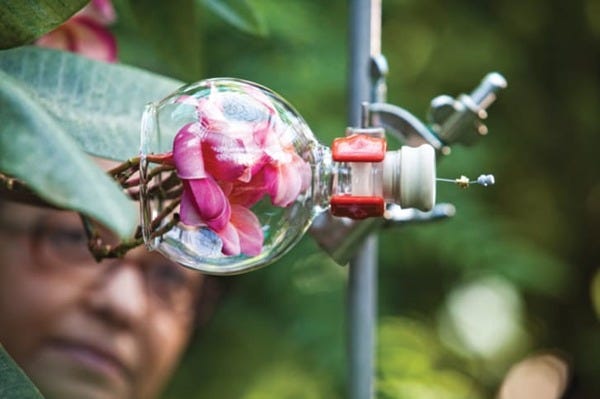 Inside a Top-Secret Factory Where Scent Is Made