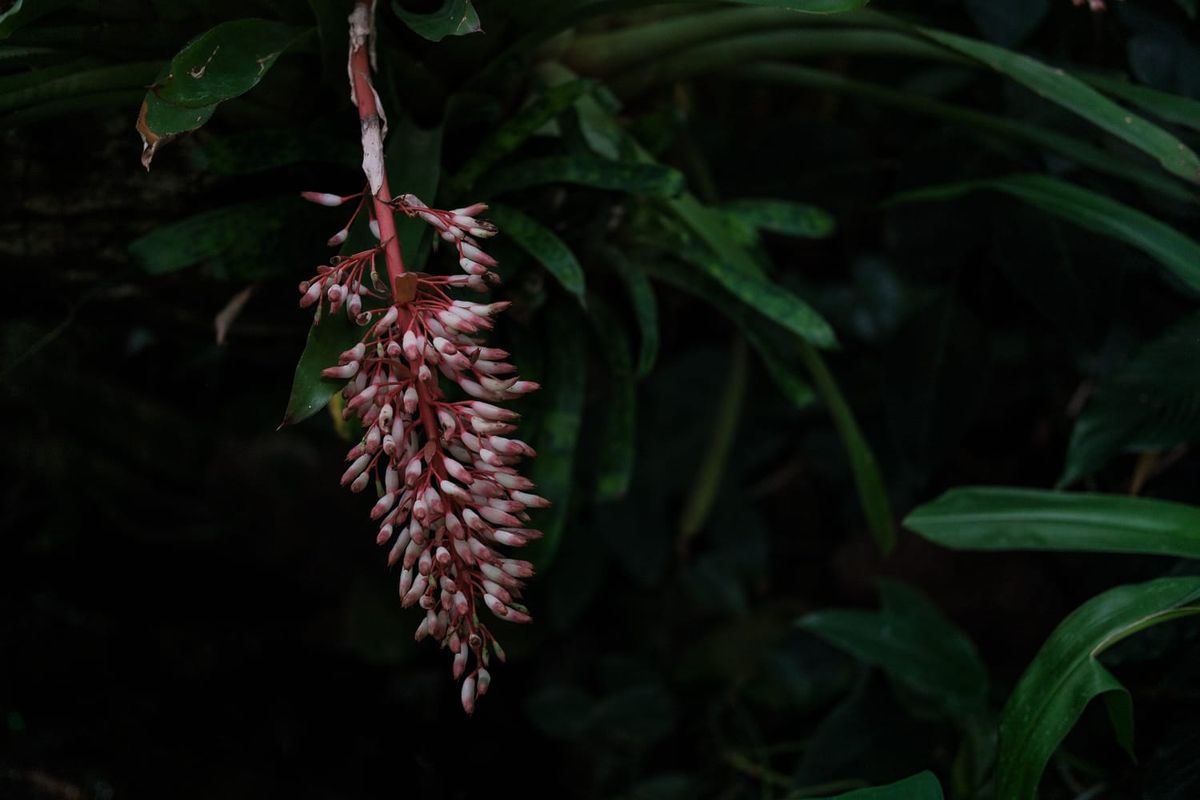 Highly Sensitive Person revelation