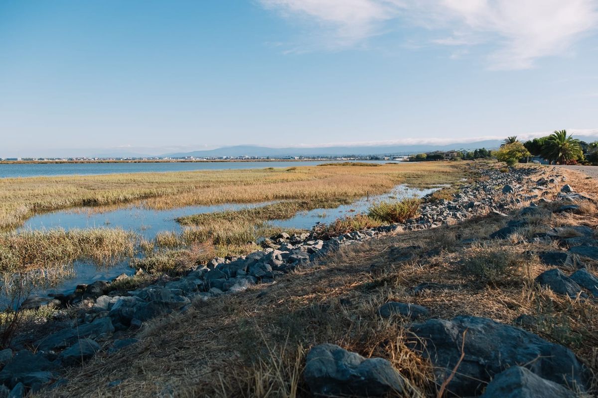 Big swings or little blips