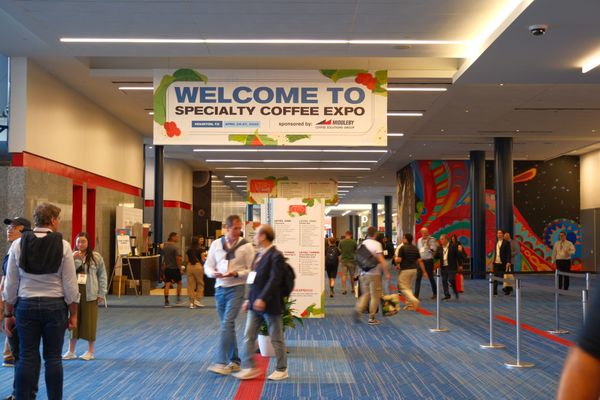 The optics could’ve been better