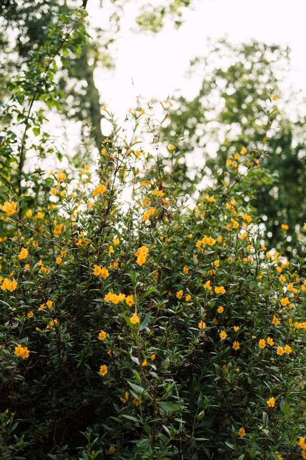 The power of observation