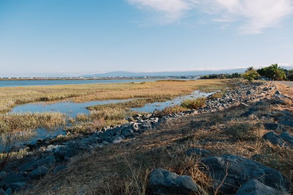 Big swings or little blips