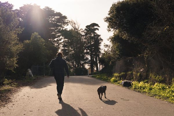 tanjennts letter no. 033: productivity