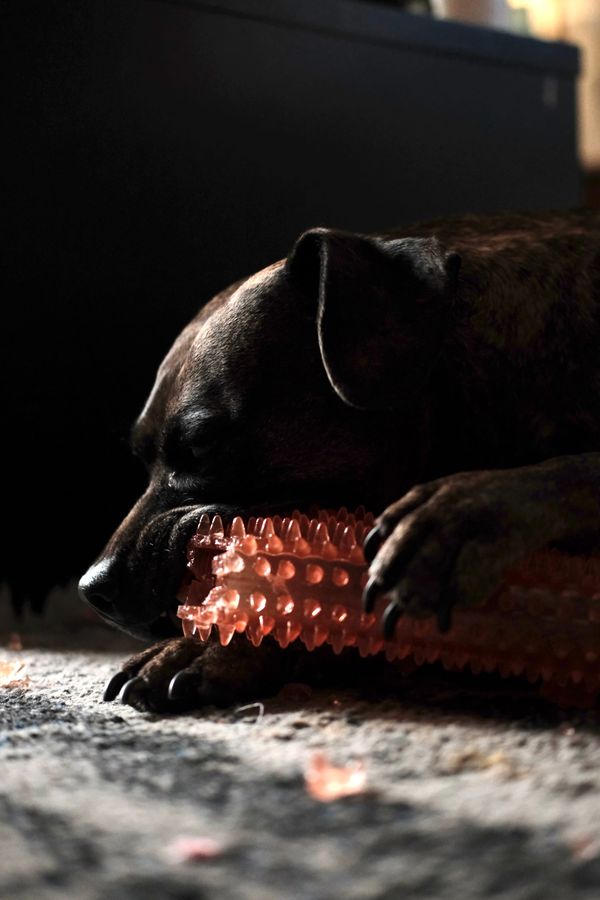 tanjennts letter no. 035