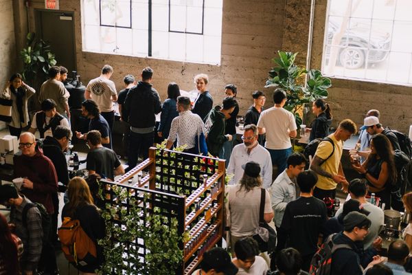 tanjennts letter no. 038: drawing!