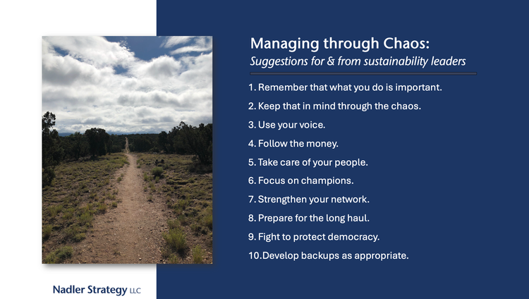 Managing through Chaos: Suggestions for & from sustainability leaders