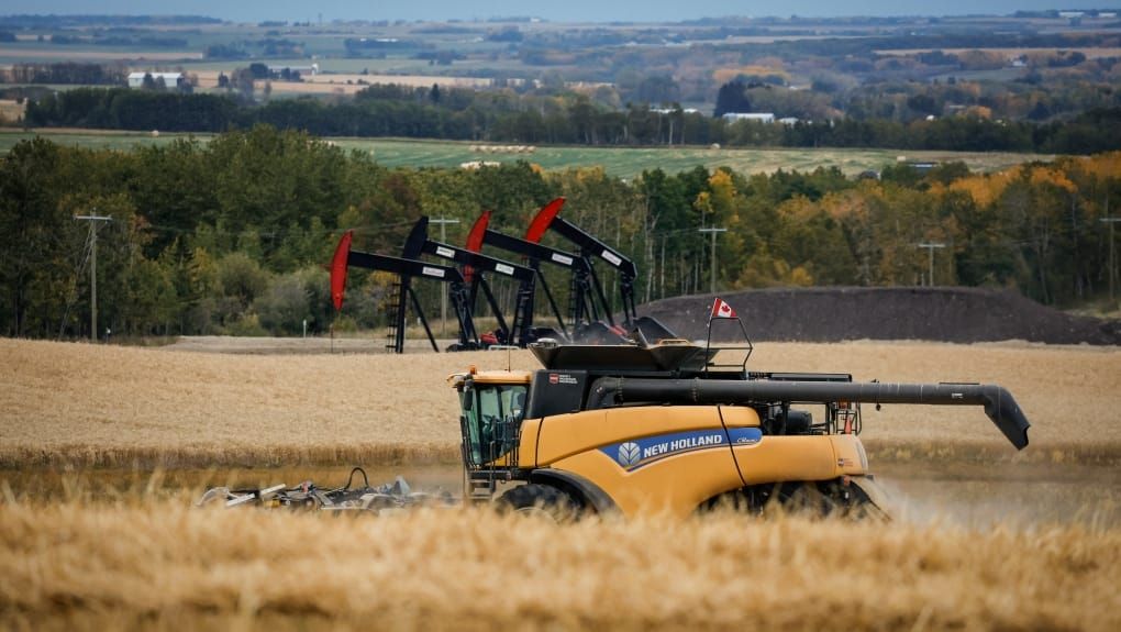 Expert warns cyberattacks against Canada food industry