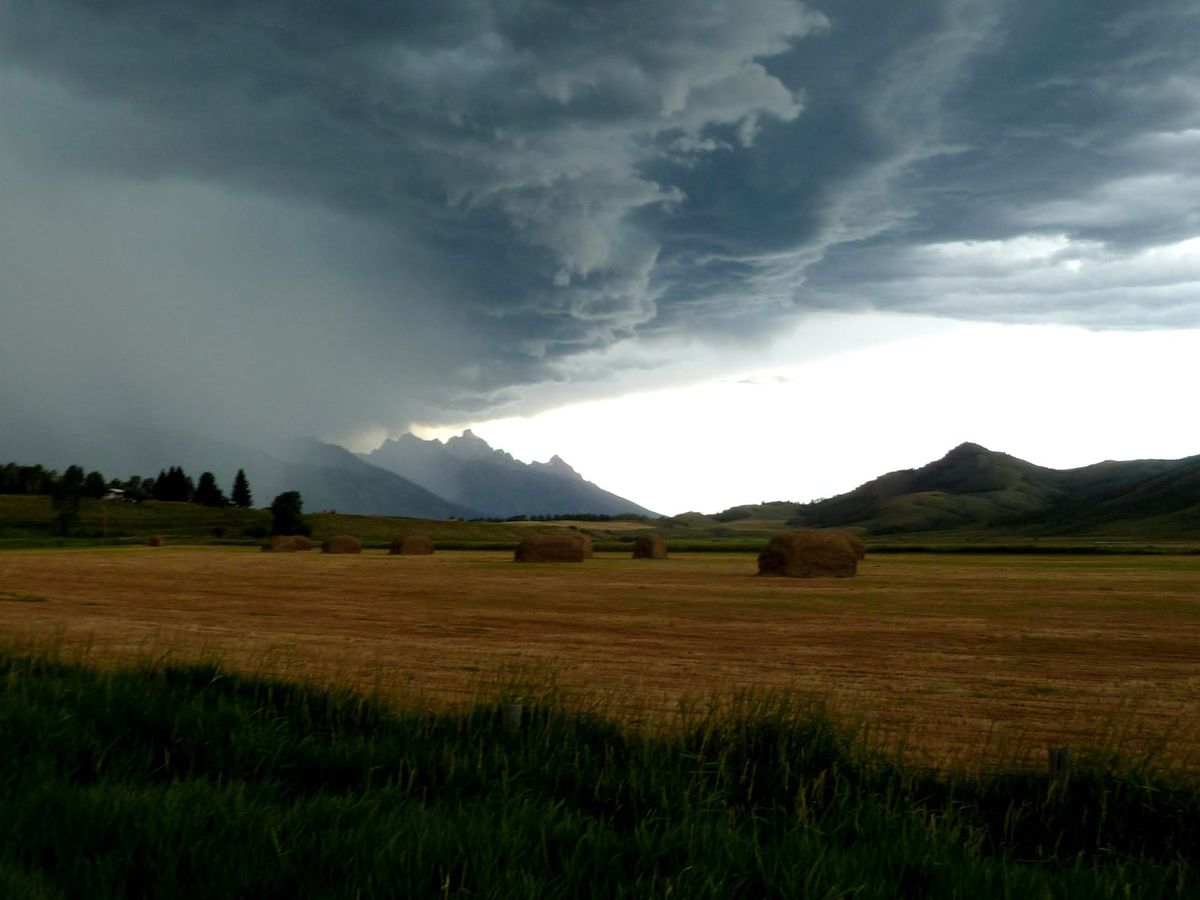 Meditations on Heroism