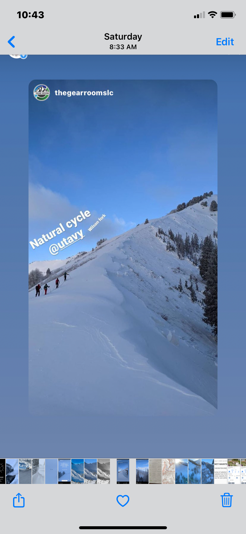 Making Sense of the Wilson Glades tragedy