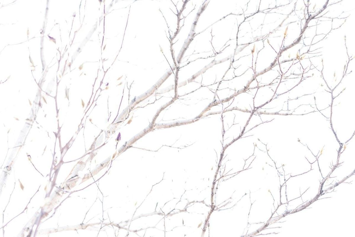 A Meditation on Love and Cancer