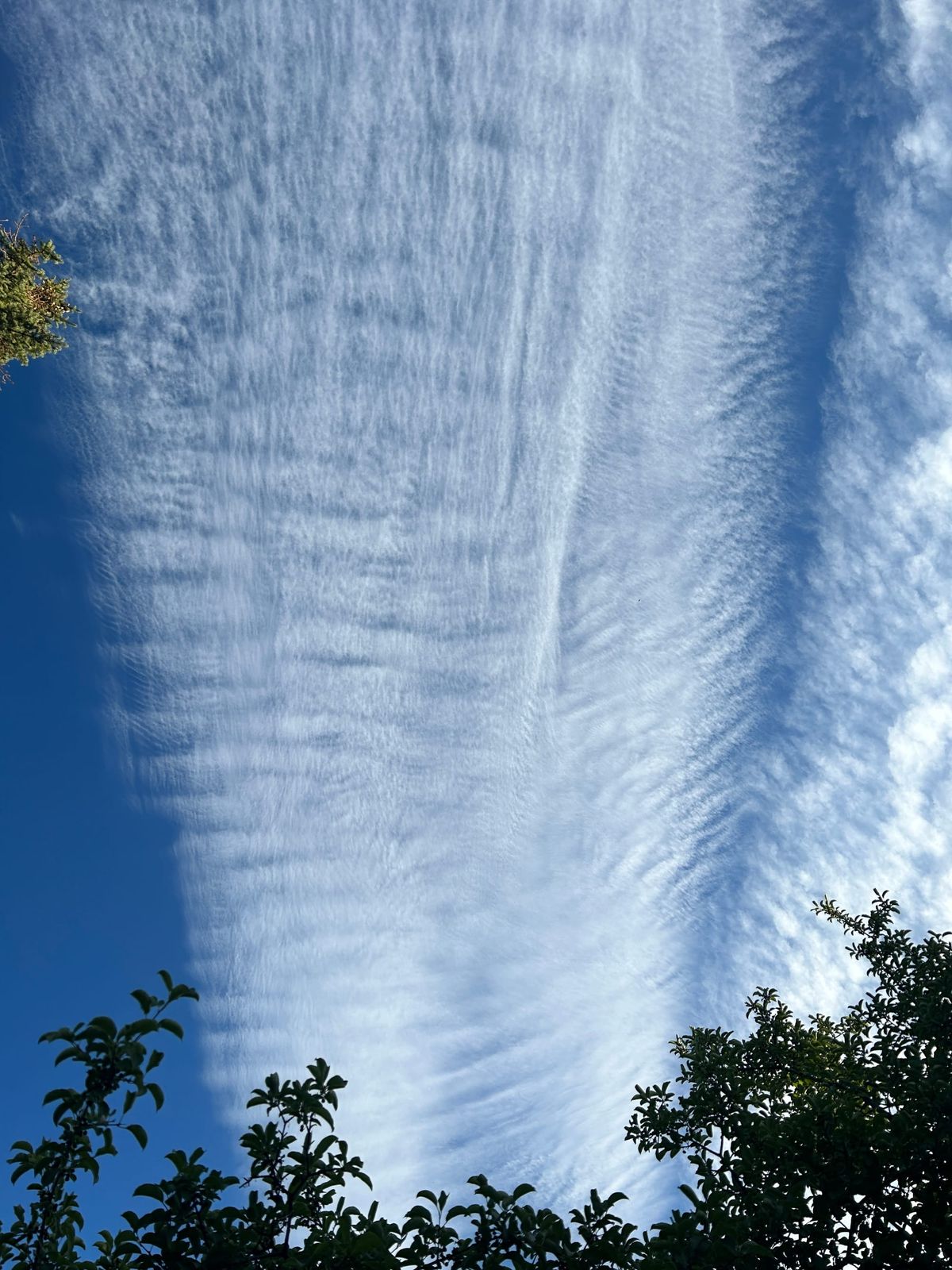 Final Thoughts on Expertise