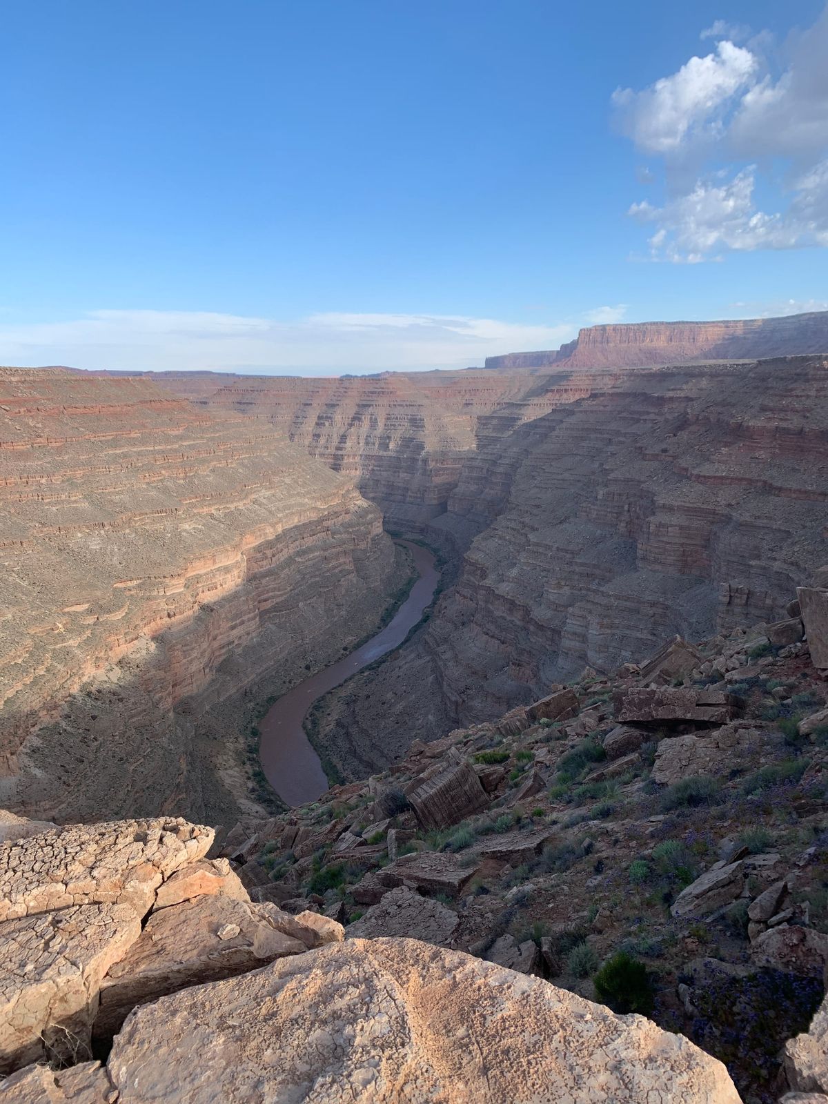 The (Continued) Death of Expertise....Part 1