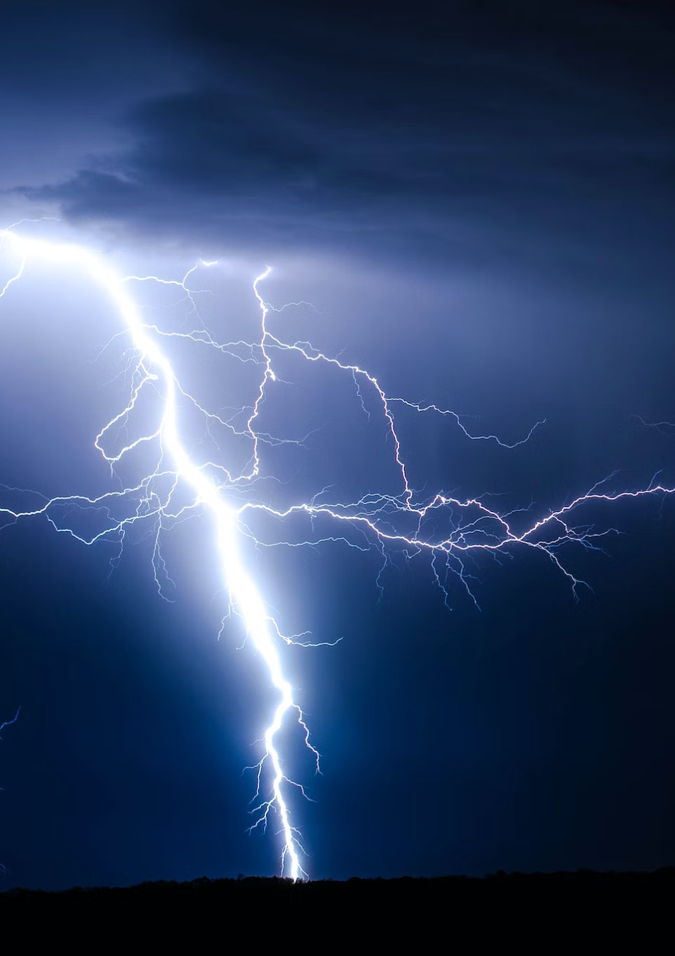 The Crackle and the Buzz