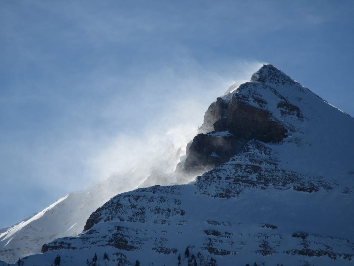 A Mentor Gives the Wrong Advice