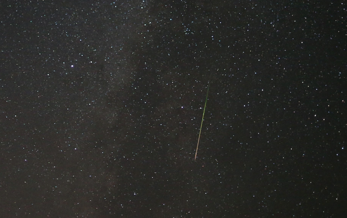 Swimming with the Perseids