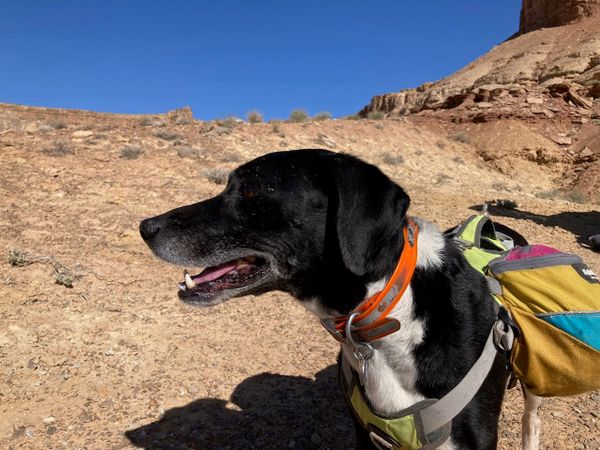 WE ARE Dangerous (Another Look...)