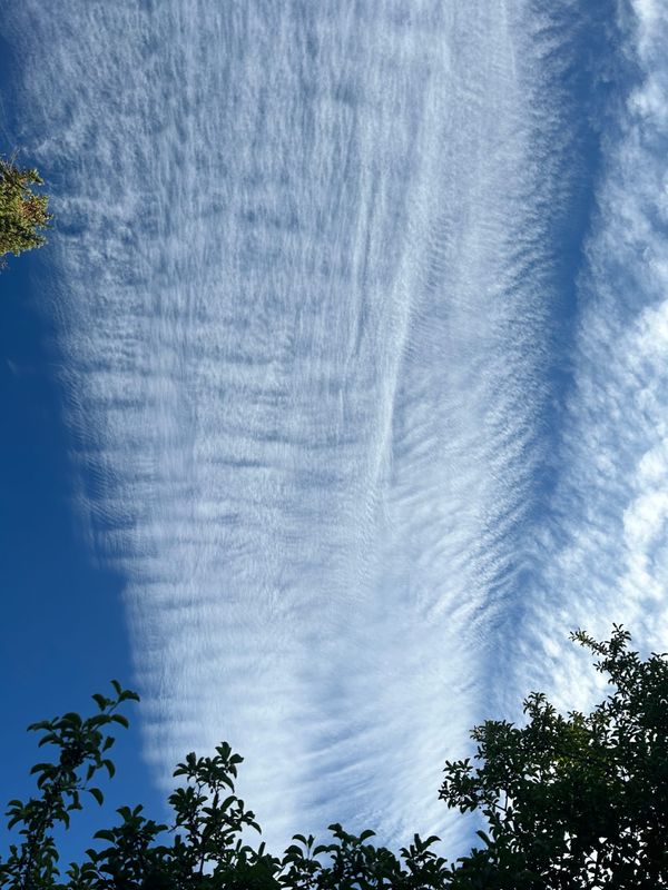 Final Thoughts on Expertise