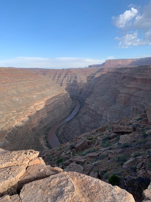 The (Continued) Death of Expertise....Part 1