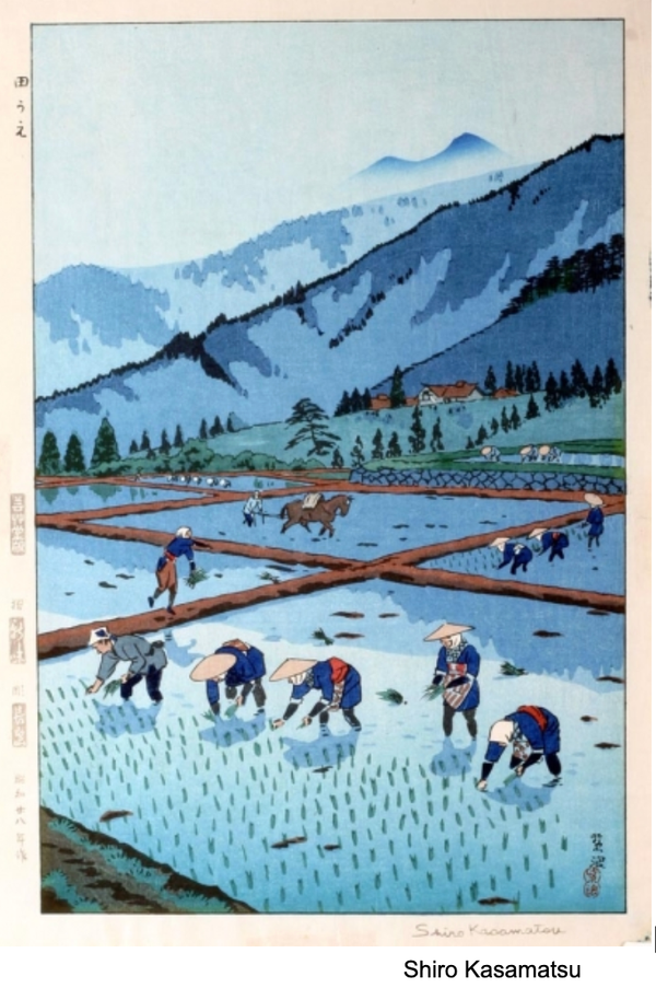 Looking for Akitaya