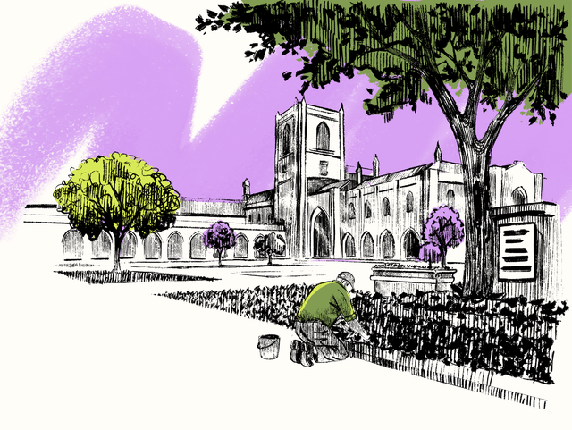 When Architecture Builds Institutions