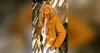 A Demo for Kim: A Celebration of Kim Carnes (born July 20, 1945)