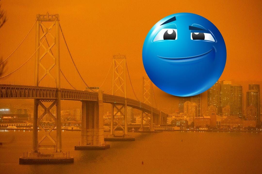 More Comfortably Numb