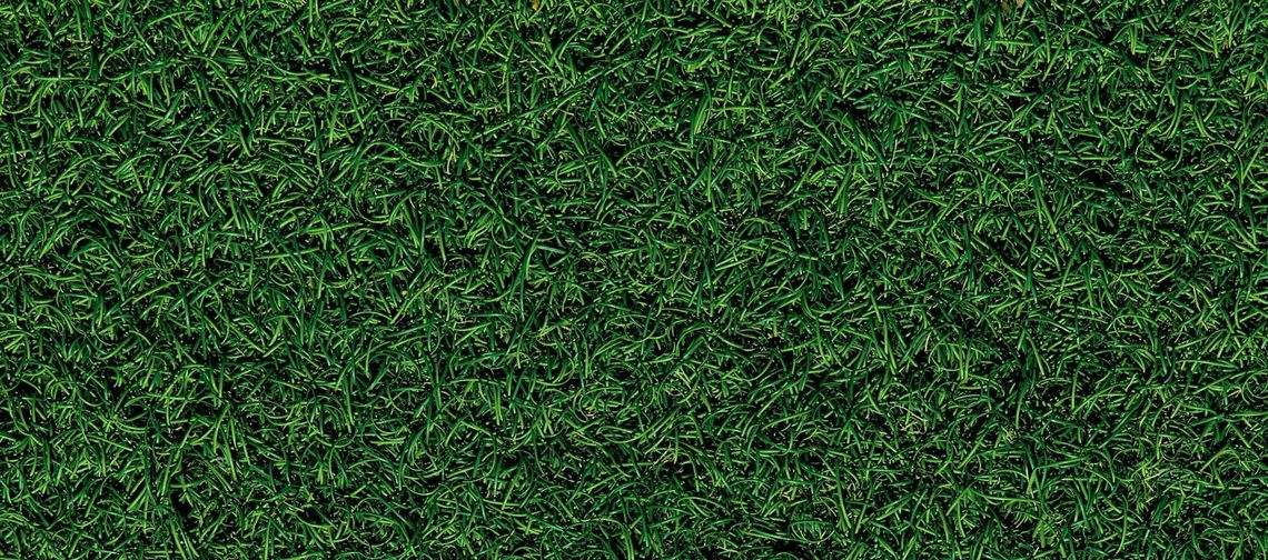 Fall 2025 Rush - Lawn Day 8/25