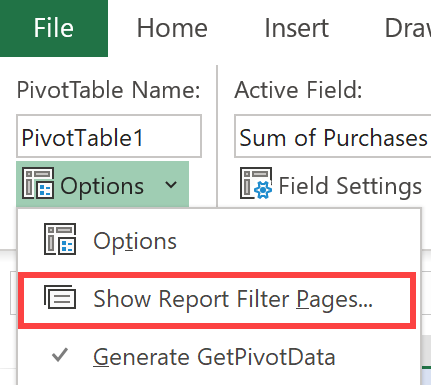 Report Filters in Excel