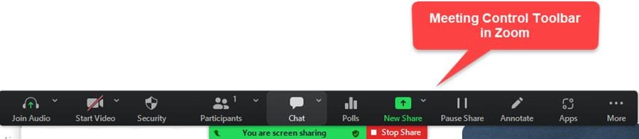 Zoom Meeting Control Toolbar