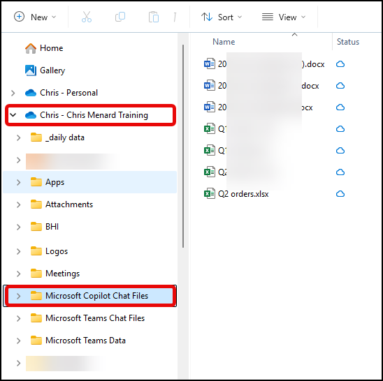 OneDrive - Microsoft Copilot Chat Files