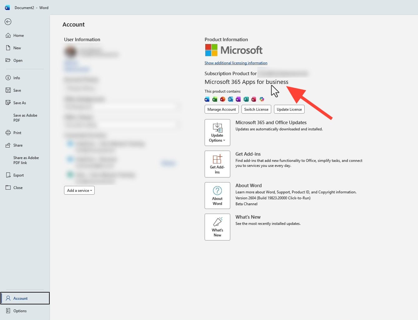 Word File Account page showing Microsoft 365 Apps for business subscription information