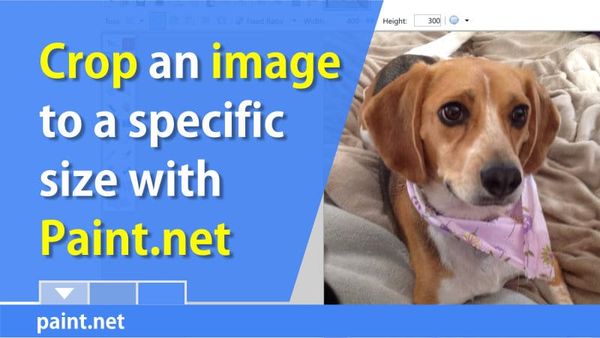 Crop a picture to a specific size with Paint.Net