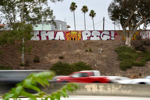 Trump Pigs on the 10 Freeway