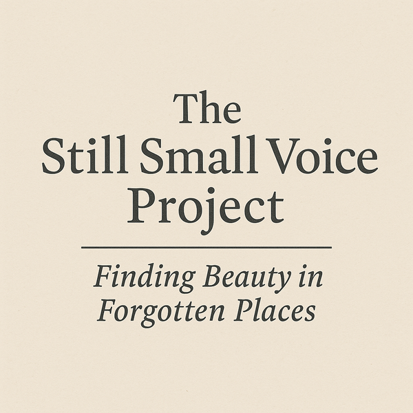 The Still Small Voice Project