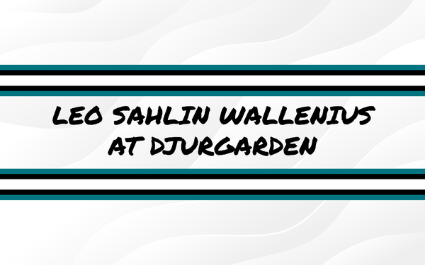 Leo Sahlin Wallenius at Djurgården 1/15/2026