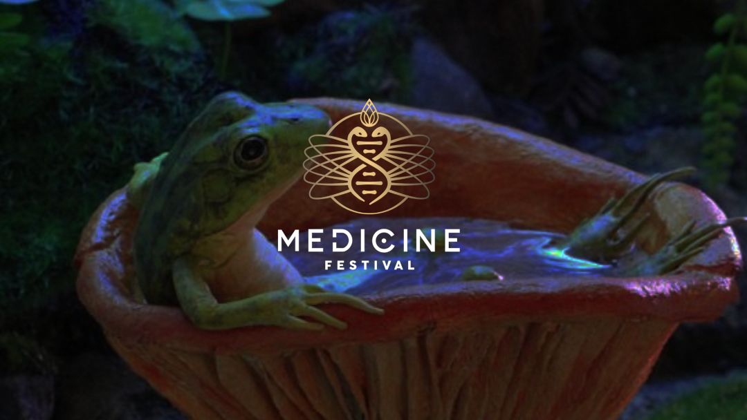 Medicine Festival
