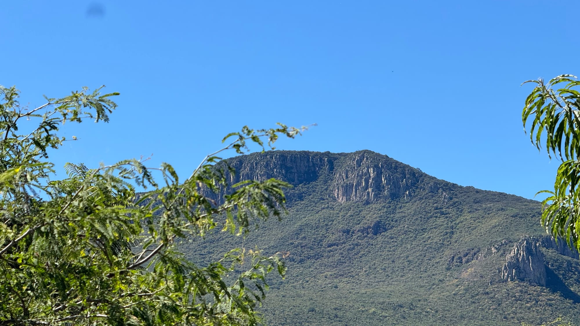 Luis Becerra Solis' Blog