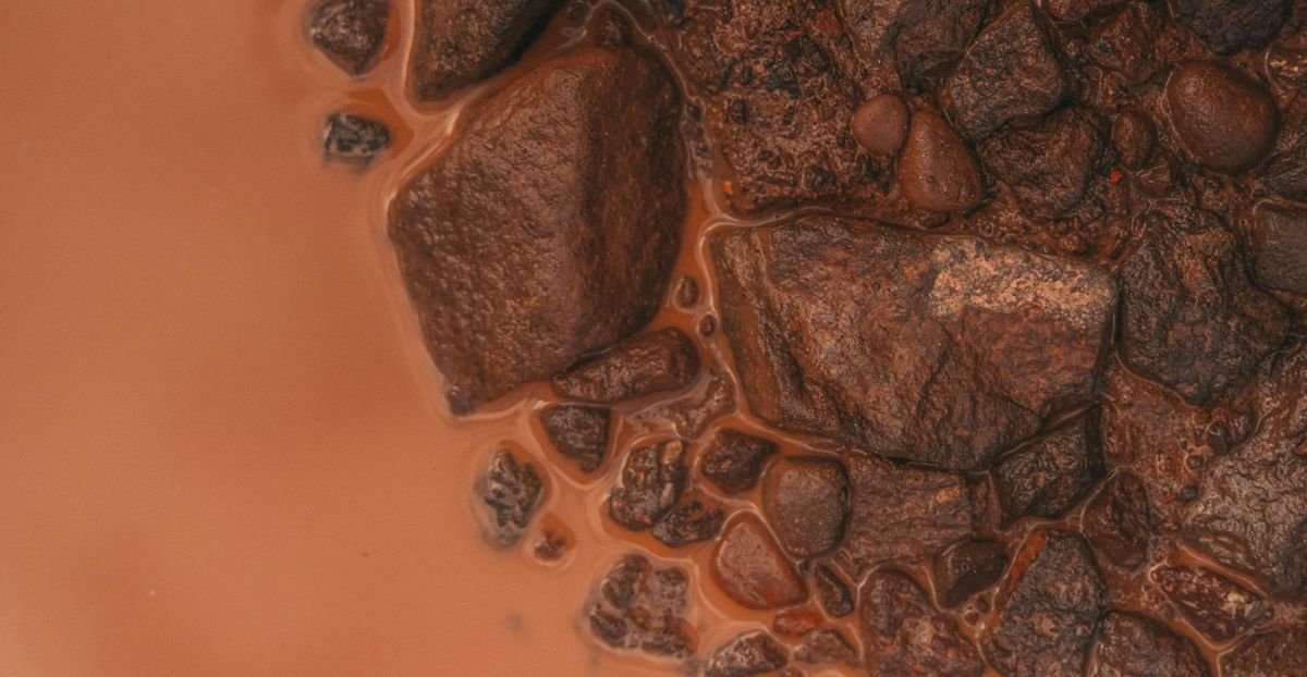 What Are Somatic Practices? An Introduction to Body-Based Healing