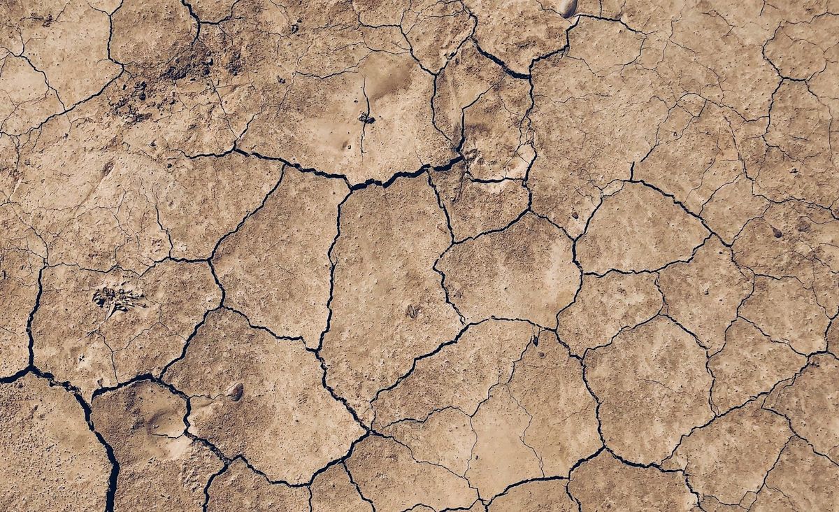 How to Choose the Right Somatic Practitioner for You: A Complete Guide