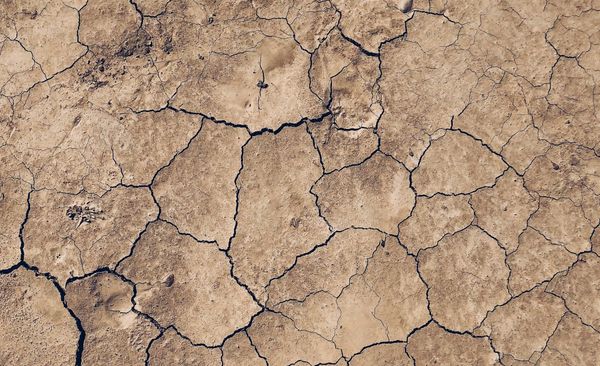 How to Choose the Right Somatic Practitioner for You: A Complete Guide