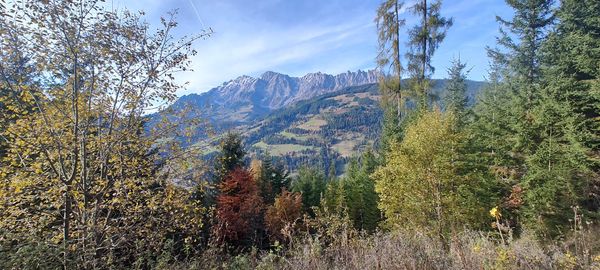 When life gets in the way of training