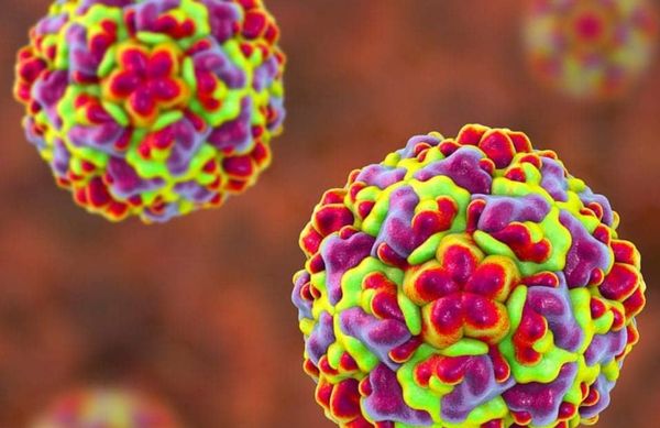 The first virus of the year (is here)