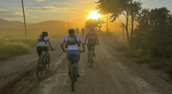 Stage 1 — Rock Bottom, Coke, and a Comeback