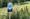 Tosa residents can help city earn national certification by creating wildlife habitats